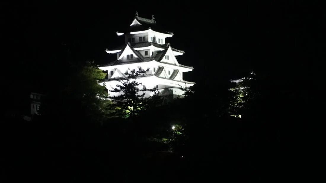 Gujo Hachiman Castle illuminated white against the night sky above the festival town, seen through dark trees