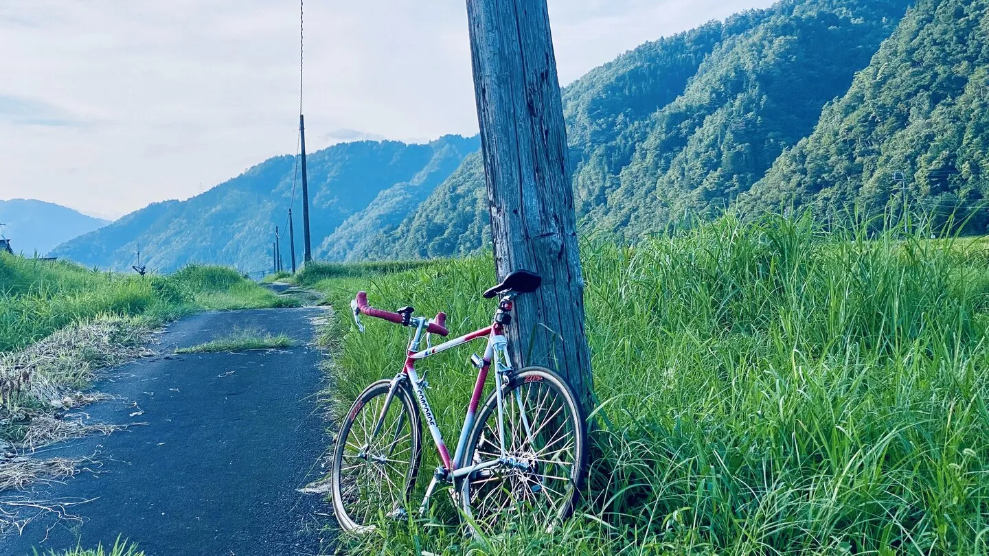 A road bike resting against a telegraph pole on a quiet riverside path, green mountains rising behind it in the Nagara River valley