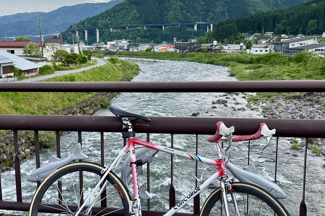 Road bike on a bridge over the Nagara River, with the town and a viaduct visible upstream